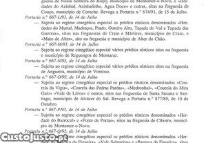 imagem_17