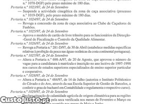imagem_37