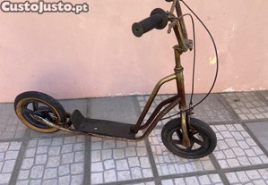 imagem_1