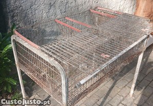 imagem_4
