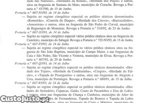 imagem_23