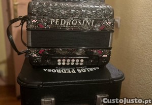 Concertina Pedrosini em Sol