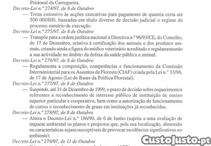 imagem_7