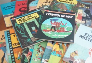 17 BD As Aventuras de Tintim de Hergé / Record