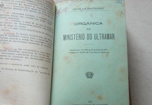 imagem_6