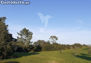 imagem_12