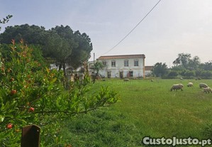 imagem_33