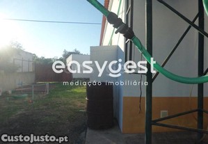 imagem_12