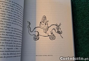 imagem_5