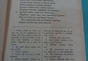 imagem_4