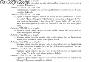 imagem_21