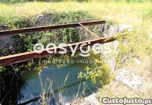 imagem_15