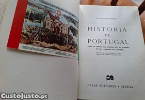 imagem_3