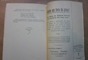 imagem_8