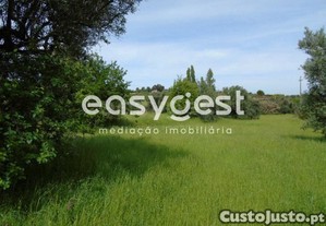 imagem_11