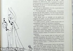 imagem_2