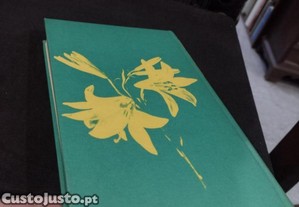 imagem_4