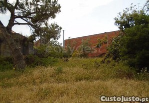 imagem_6