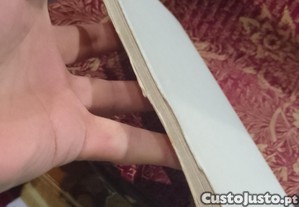 imagem_12
