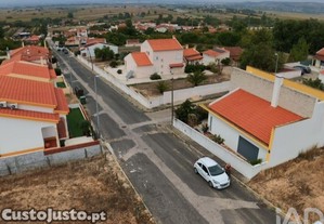 imagem_11