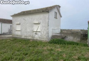 imagem_8