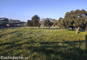 imagem_26