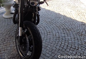 imagem_6