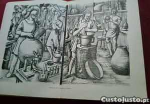 imagem_4