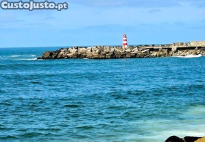 imagem_8