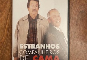DVD Estranhos Companheiros de Cama
