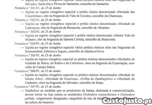 imagem_28