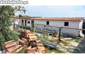 imagem_18