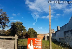 imagem_11