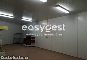 imagem_13