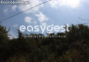 imagem_14