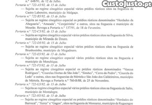 imagem_28