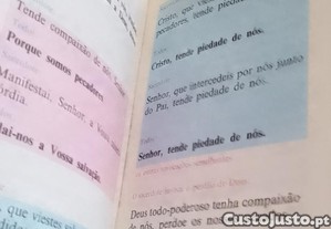 imagem_10