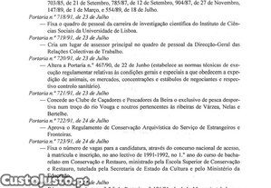 imagem_40