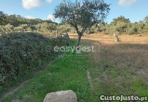 imagem_10
