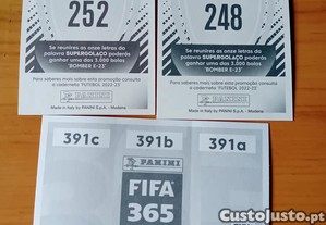 imagem_5