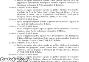 imagem_29