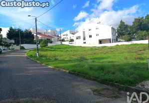 imagem_8