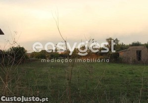 imagem_10