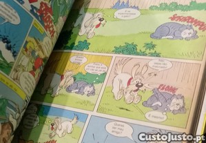 imagem_7