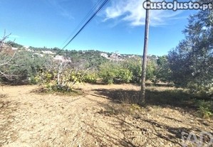 imagem_7