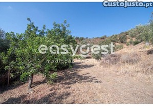 imagem_18