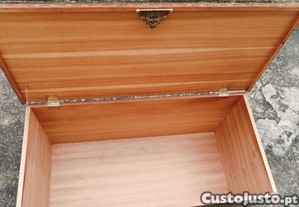 imagem_5