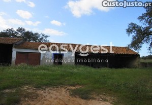 imagem_7