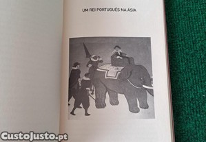 imagem_7