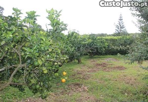 imagem_28